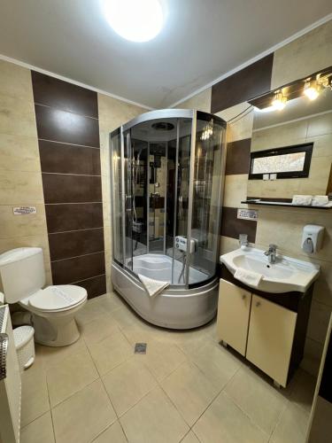 een badkamer met een douche, een toilet en een wastafel bij VILA IANIS PIATRA NEAMT in Piatra Neamţ