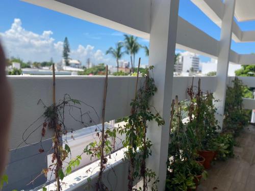 Balkón nebo terasa v ubytování Modernos departamentos tipo LOFT a dos calles del estadio