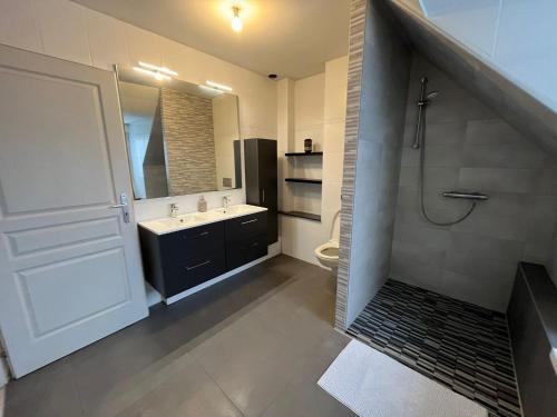 La salle de bains est pourvue d'un lavabo, d'une douche et de toilettes. dans l'établissement Sérénité alsacienne, à Seltz