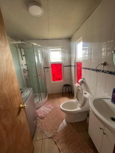 卡斯特羅的住宿－Los Dudys，浴室配有卫生间、盥洗盆和淋浴。