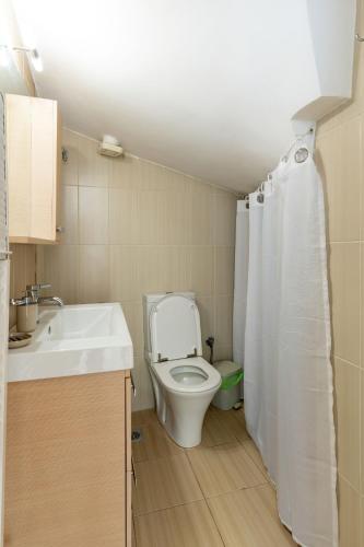 a bathroom with a toilet and a sink and a shower curtain at Port house with amazing sea view and jacuzzi in Ierápetra