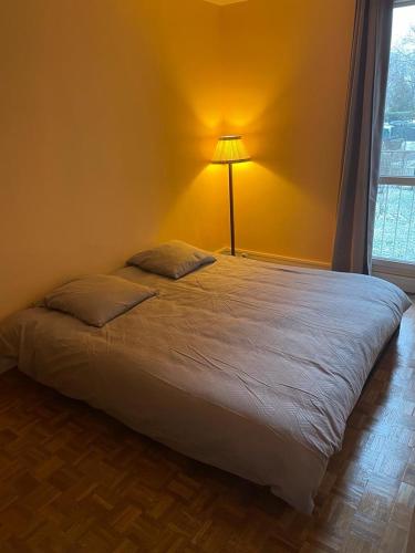 ein Schlafzimmer mit einem großen Bett mit einer Lampe in der Unterkunft Appartement chic in Villejuif