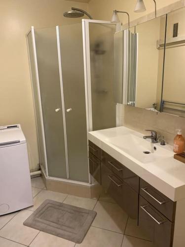 ein Bad mit einer Dusche, einem Waschbecken und einem Spiegel in der Unterkunft Appartement chic in Villejuif