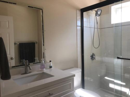 een badkamer met een wastafel en een douche met een spiegel bij Mansfield St in Fredericksburg