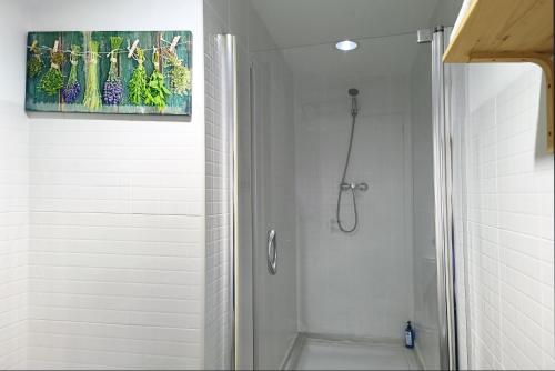 a shower in a bathroom with a painting on the wall at Flats Friends Tetuan in Valencia