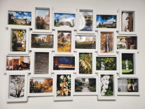 een collage van foto's aan een muur bij Apartament Wiktoria in Łańcut