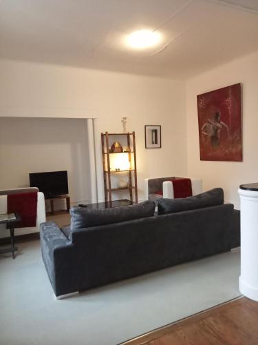 a living room with a couch and a television at Logement spacieux et lumineux in Montceau-les-Mines