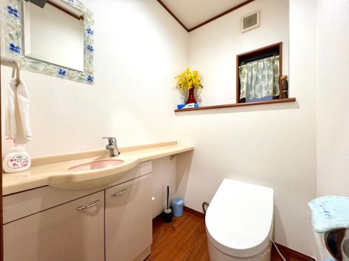 a bathroom with a sink and a toilet at Kenki Kawaguchi House in Kawaguchi