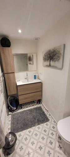 ein Bad mit einem Waschbecken und einem Spiegel in der Unterkunft Le Rocher appartement Cotignac in Cotignac