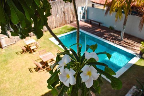 a plant with white flowers next to a swimming pool at Caminho do Paraíso in Porto De Galinhas