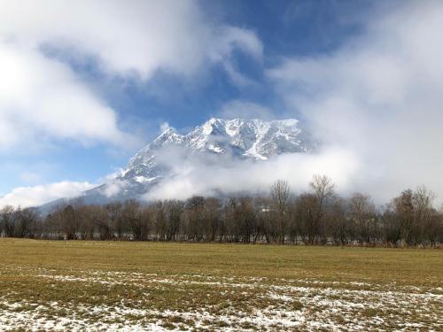 a snow covered mountain in a field with trees at Ferienwohnung - Apartment Pichlarn Holiday in Aigen im Ennstal