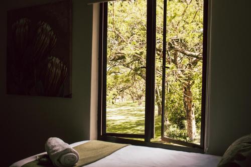 1 dormitorio con ventana con vistas a un árbol en Idube Guest House, en Winterton