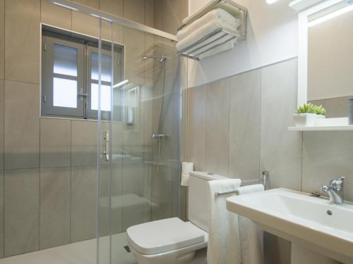 a bathroom with a shower and a toilet and a sink at Aldaba Apartamentos in Toledo