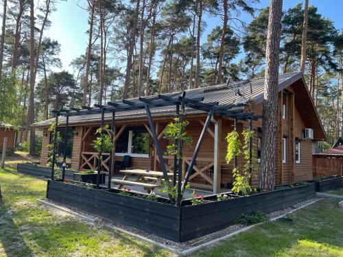 een blokhut in het bos met bomen bij Domek Dębowy 1 in Lubniewice