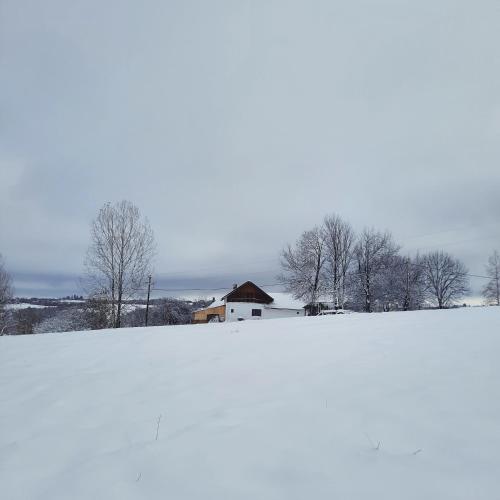 a snow covered field with a house in the distance at Cabana în zona turistica in Râșca