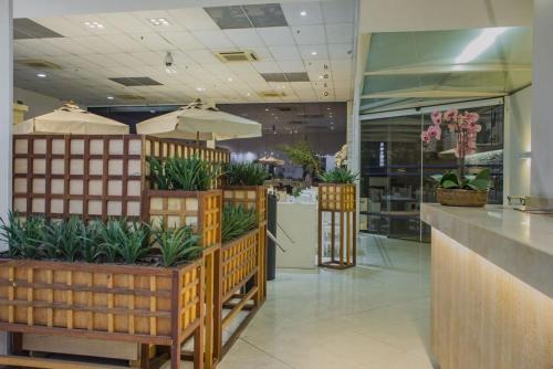 聖保羅的住宿－山加布瑞歐酒店，商场里展示着盆栽植物的商店