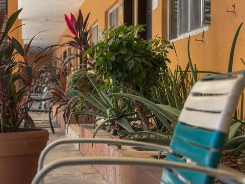 Imagen de la galería de Hotel Oasis, en Mazatlán