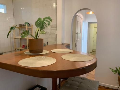 a table with a potted plant on top of it at Apt Charmoso 3 Quartos Gavea in Rio de Janeiro