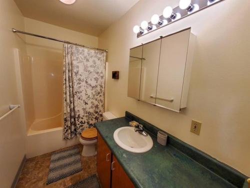 a bathroom with a sink and a toilet and a mirror at Downtown Juneau Gem: 1BR Apt with Stunning Views! in Juneau