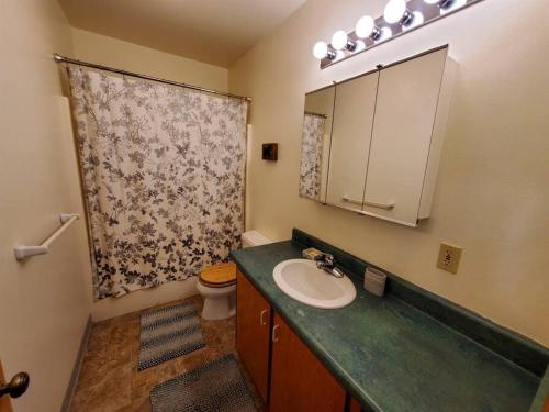 a bathroom with a sink and a toilet and a mirror at Downtown Juneau Gem: 1BR Apt with Stunning Views! in Juneau