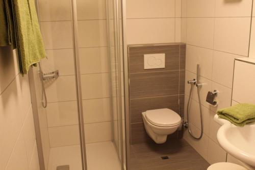 a small bathroom with a toilet and a shower at Studio für 3 Personen ca 34 qm in Kaprun, Salzburger Land Kapruner Tal in Kaprun