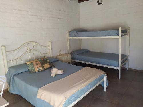 烏斯帕亞塔的住宿－Posada Uspallata，一间卧室设有两张双层床,床上有一只动物。