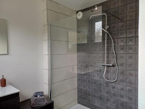 W łazience znajduje się prysznic ze szklanymi drzwiami. w obiekcie Les chambres du Haras St Georges w mieście Athesans