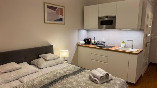 Kuchyňa alebo kuchynka v ubytovaní VULTOR Apartments