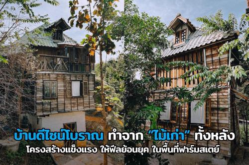 an old house in the middle of a forest at Monsamkien Farmstay in Phayao