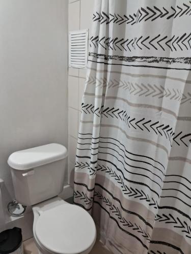 a bathroom with a toilet and a shower curtain at Disfruta de un tranquilo departamento en el centro a pasos del Hipodromo in Santiago