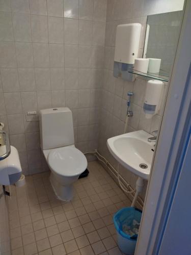 a bathroom with a toilet and a sink at Saarnimaja in Hämeenlinna
