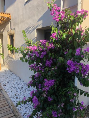 a bush of purple flowers on the side of a building at Les Chambres des 3 Chouettes in Sepx