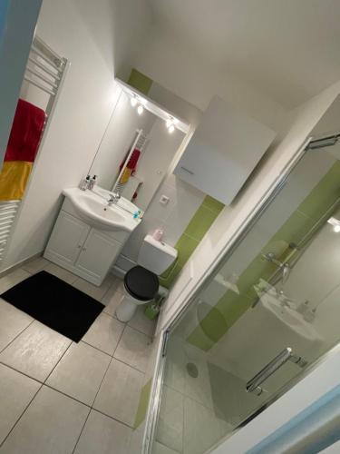 y baño con lavabo y ducha. en Appart 41 Montbéliard: calme et cosy + piscine en Sainte-Suzanne