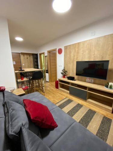 Μια τηλεόραση ή/και κέντρο ψυχαγωγίας στο Apartmani Obućina Kapije Jahorina