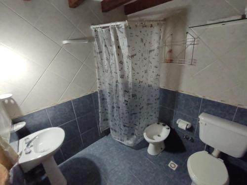 uma casa de banho com um WC, um lavatório e um chuveiro em Monohambiente em San Carlos de Bariloche