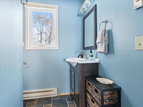 een blauwe badkamer met een wastafel en een spiegel bij Eagles Rest On Whitefish in Pine River