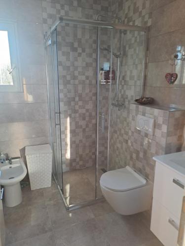a bathroom with a shower and a toilet and a sink at Holiday Apartment Ivan in Murter