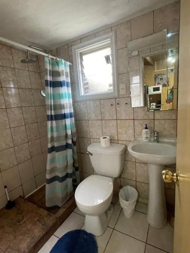 a small bathroom with a toilet and a sink at Reservas Cabañas Kramer in Valdivia