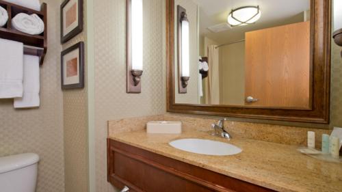 ein Badezimmer mit einem Waschbecken, einem Spiegel und einem WC in der Unterkunft Russell Inn and Suites in Starkville