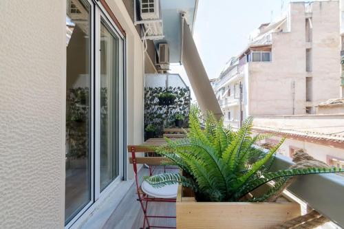 The Acropolis dream house
