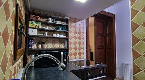 cocina con fregadero y microondas en Schei apartments en Brasov