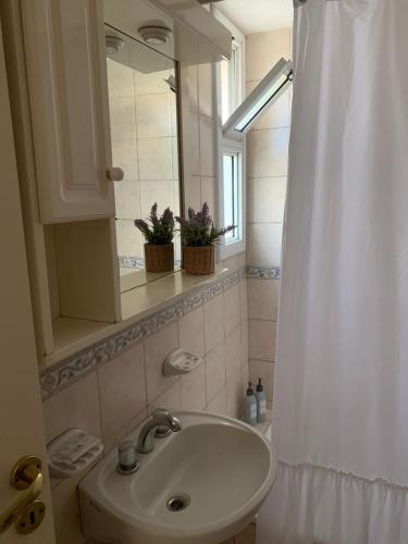 a bathroom with a sink and a mirror and a shower curtain at Departamento quinta sección in Mendoza
