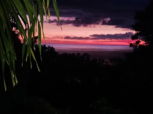 einen Sonnenuntergang über dem Meer mit Bäumen im Vordergrund in der Unterkunft Stephane in Pointe-Noire