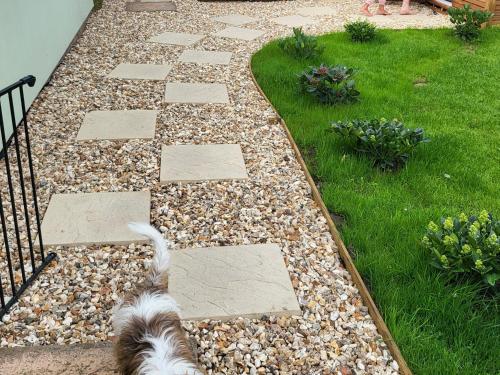 a dog laying on a rock walkway in a yard at Peace and quiet on The Limes in Motcombe