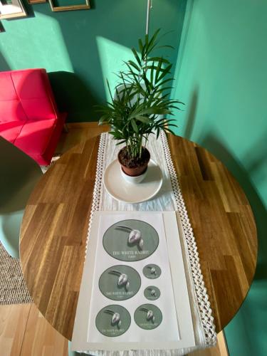Attico White Rabbit photo 42