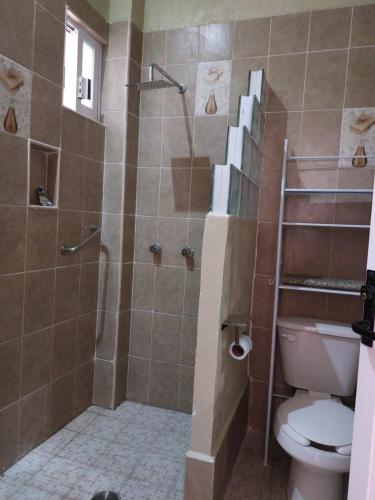 a bathroom with a shower and a toilet at Harmony Loft in San Martín de las Pirámides