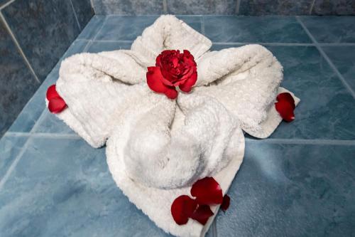 a white towel with a red rose on the floor at Elegance Hotel in La Paz