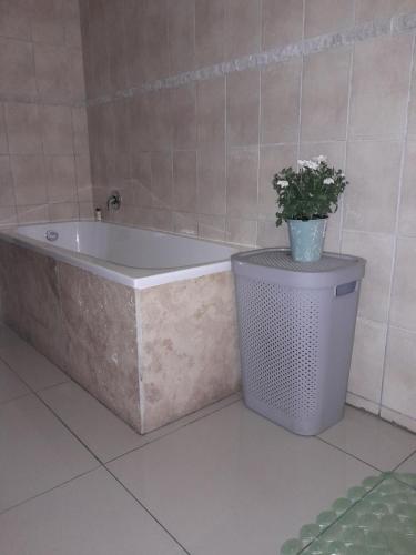 a bath tub with a potted plant on top of a trash can at CoRAL REEF 207 in La Mercy