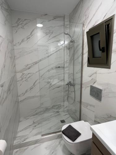 La salle de bains est pourvue d'une douche, de toilettes et d'une télévision. dans l'établissement Academy's Modern Apartments By Aesthetic & Luxurious Living, à Athènes