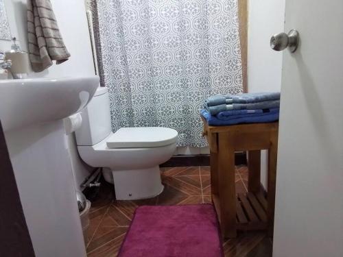Koupelna v ubytování Departamento Interior 1 Villarrica Céntrico